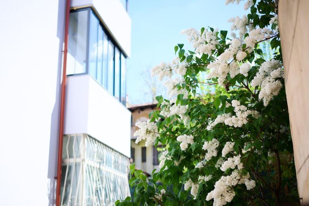 Central Old Town Oasis - Ap 6 Bükreş Dış mekan fotoğraf